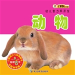 幼儿智力早开发——动