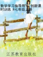 数学学习指导用书 创