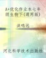 A+优化作业本七年级生