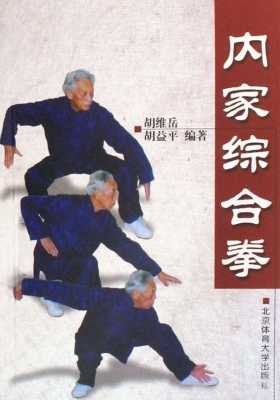 内家综合拳