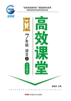 高效课堂·江苏教育版