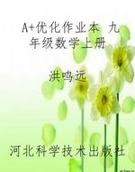 A+优化作业本 九年级
