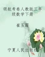 领航考卷人教版三年级