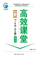 高效课堂·河北大学版