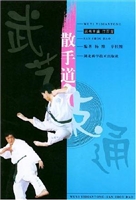 武艺一点通散手道