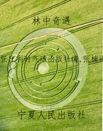 林中奇遇