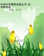 中学化学课程资源丛书