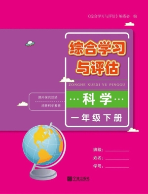 综合学习与评估——科