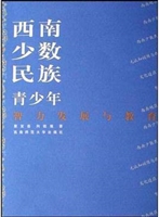 西南少数民族青少年智