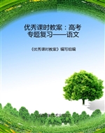优秀课时教案：高考专题