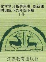 化学学习指导用书 创