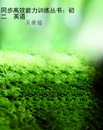 同步高效能力训练丛书