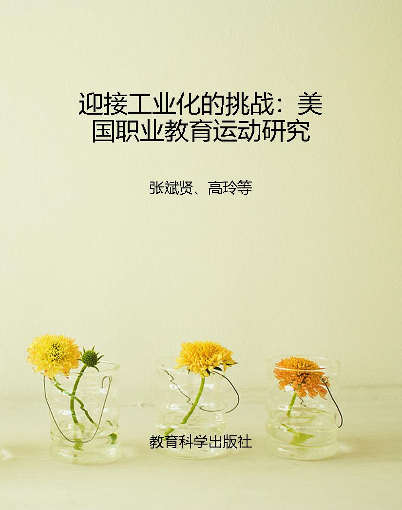 迎接工业化的挑战：美国