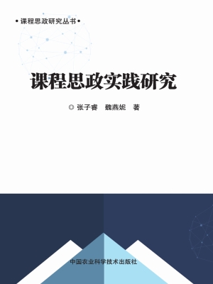 课程思政实践研究