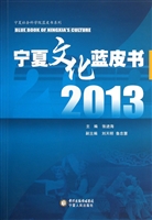 2013宁夏文化蓝皮书