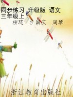 同步练习 升级版 语文