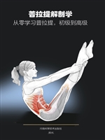 普拉提解剖学