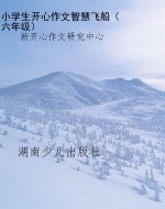 小学生开心作文智慧飞