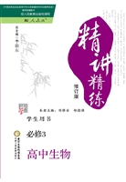 精讲精练·RJ——高中