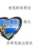 电视新闻策划