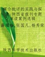媒介批评的实践与探索