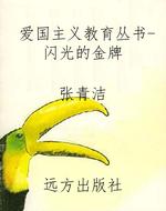 爱国主义教育丛书-闪