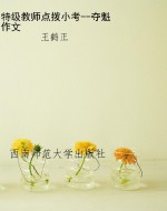 特级教师点拨小考--夺