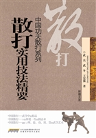 散打实用技法精要