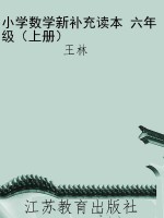 小学数学新补充读本 