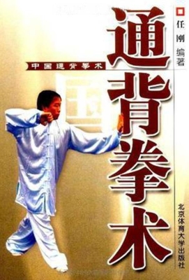 中国通背拳术