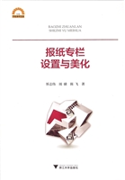 报纸专栏设置与美化