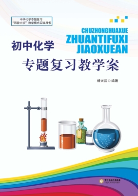 初中化学专题复习教学