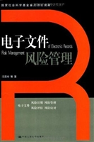电子文件风险管理