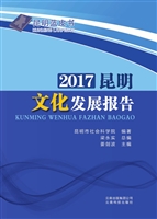 2017昆明文化发展报告