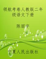 领航考卷人教版二年级