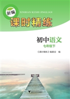 新编课时精练——初中