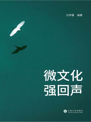 微文化 强回声