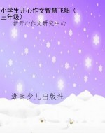 小学生开心作文智慧飞