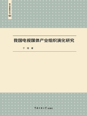 我国电视媒体产业组织