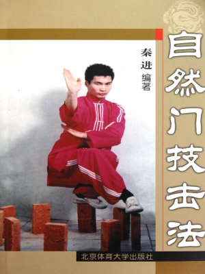 自然门技击法