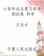 小学毕业总复习综合测