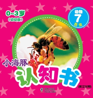 动物 7——昆虫