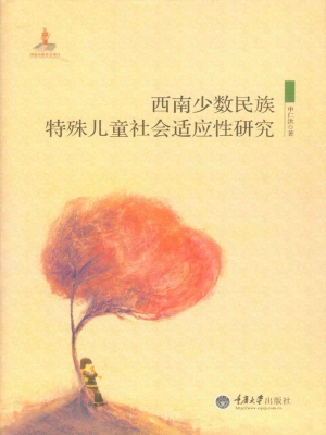 西南少数民族特殊儿童