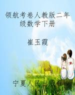 领航考卷人教版二年级