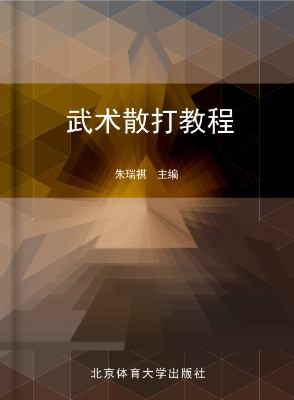 武术散打教程