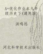 A+优化作业本九年级历