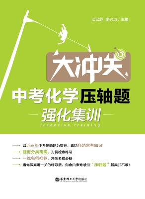 大冲关——中考化学压