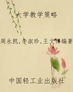 大学教学策略