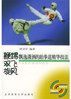鞭踢、双飞、旋风：飘逸