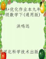 A+优化作业本九年级数